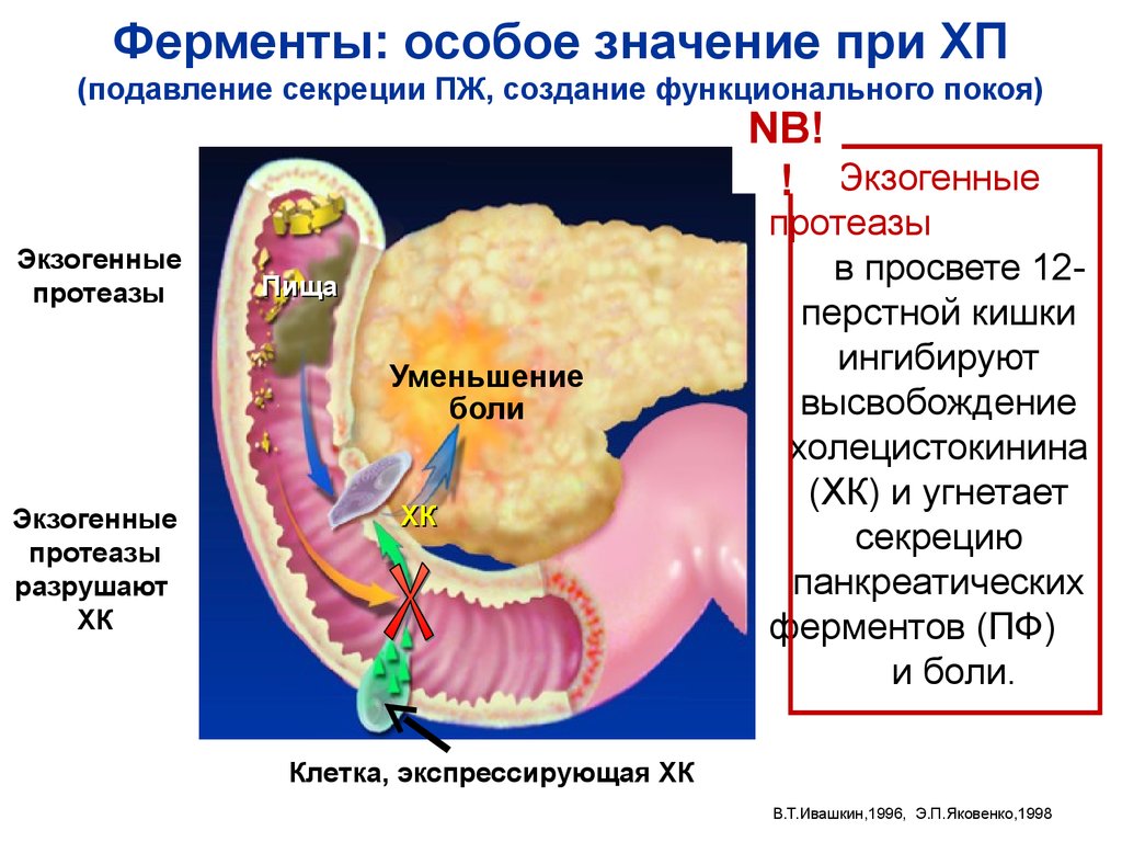Как диагностировать панкреатит: методы и исследования