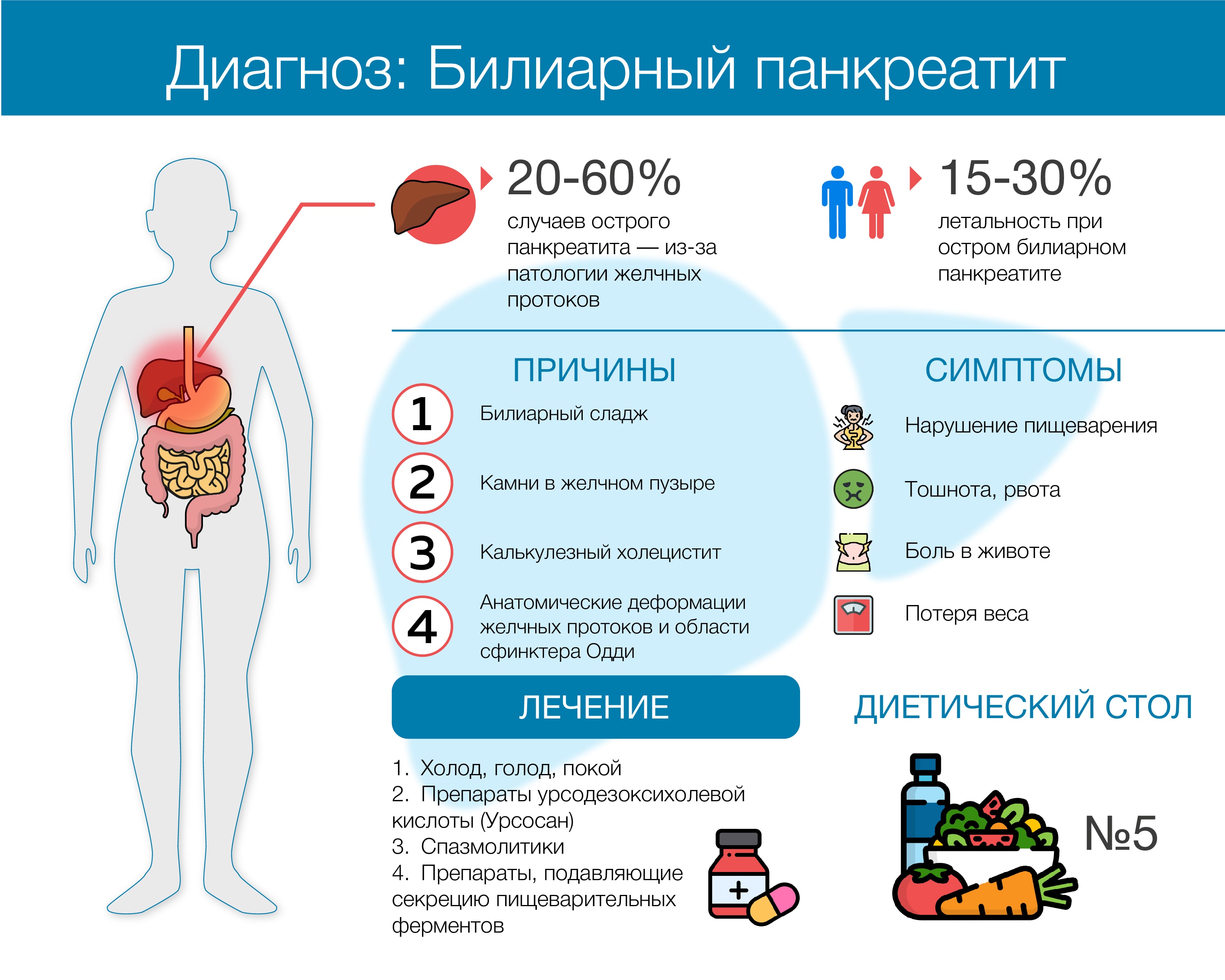 Панкреатит и аллергические реакции: роль иммунной системы