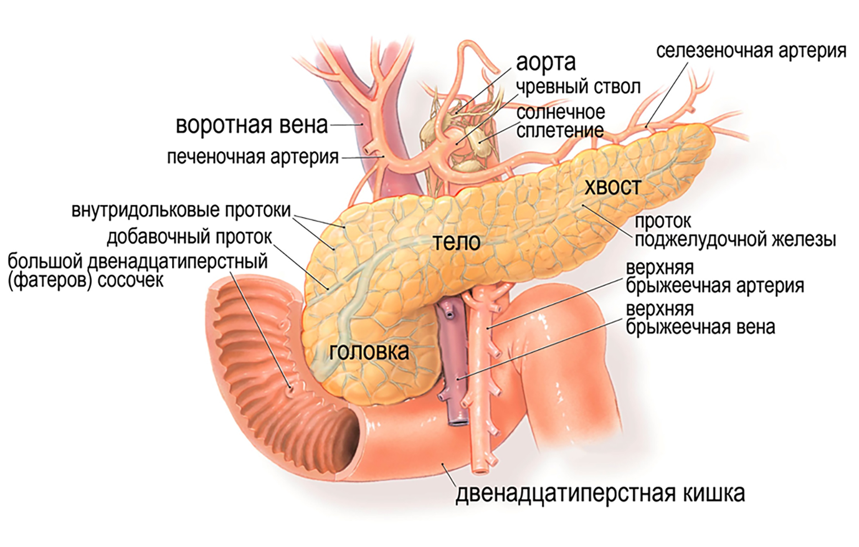аберрантная система