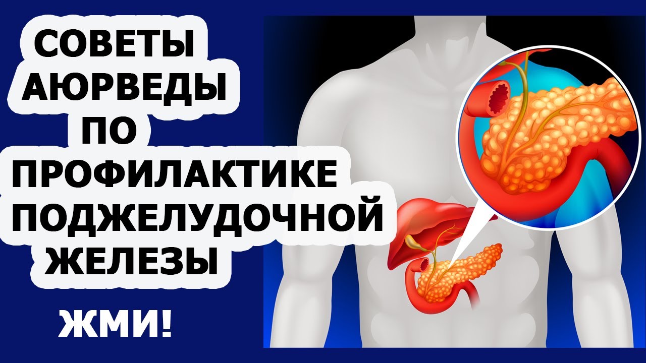 может при жевании прополиса болеть поджелудочная железа