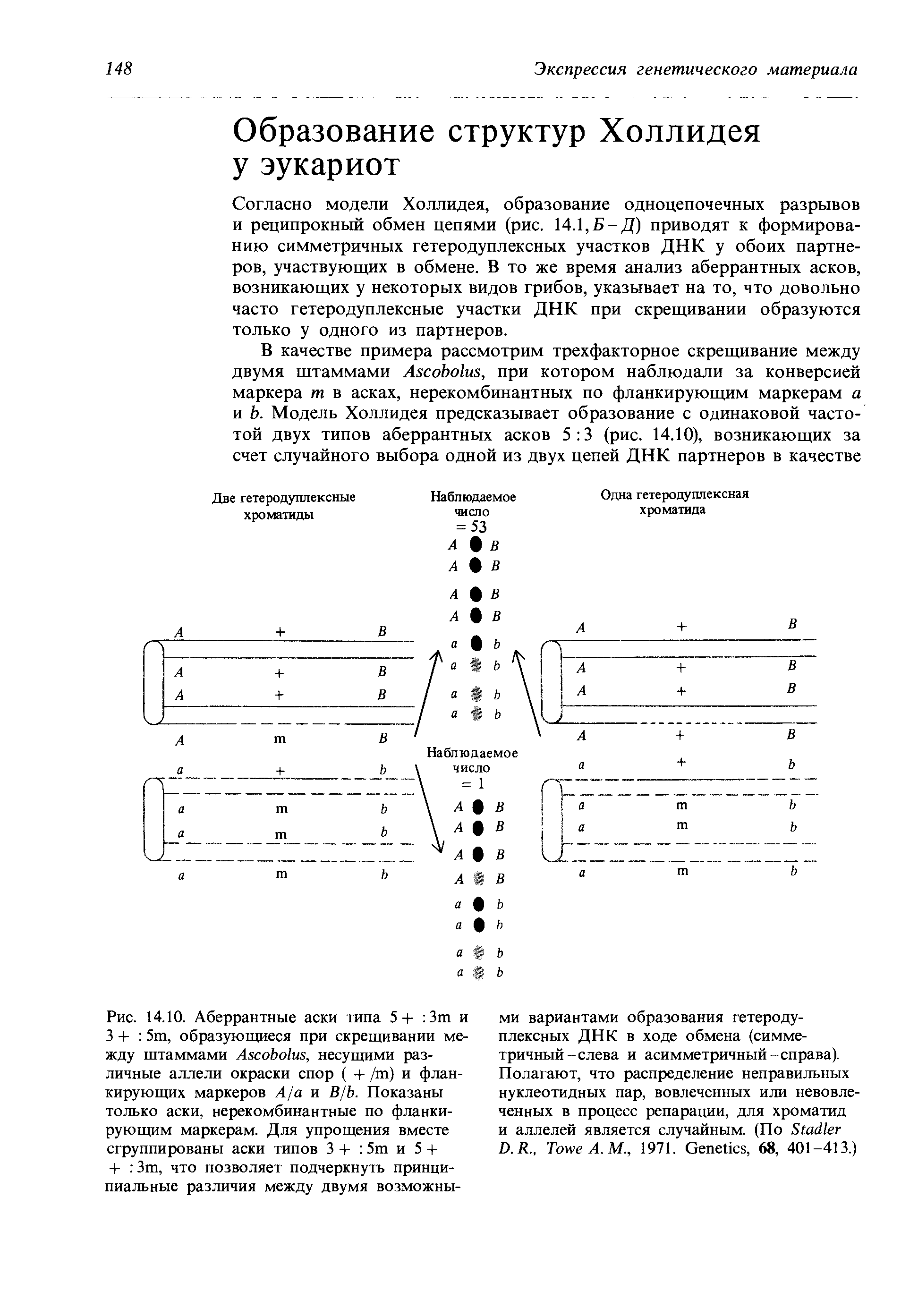 аберрантные локализации это