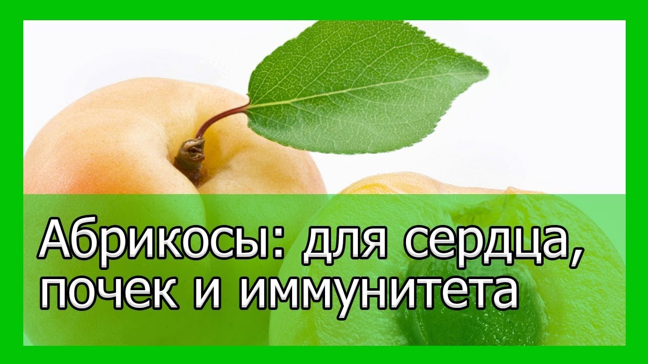 можно ли съесть абрикос при болезни пожд