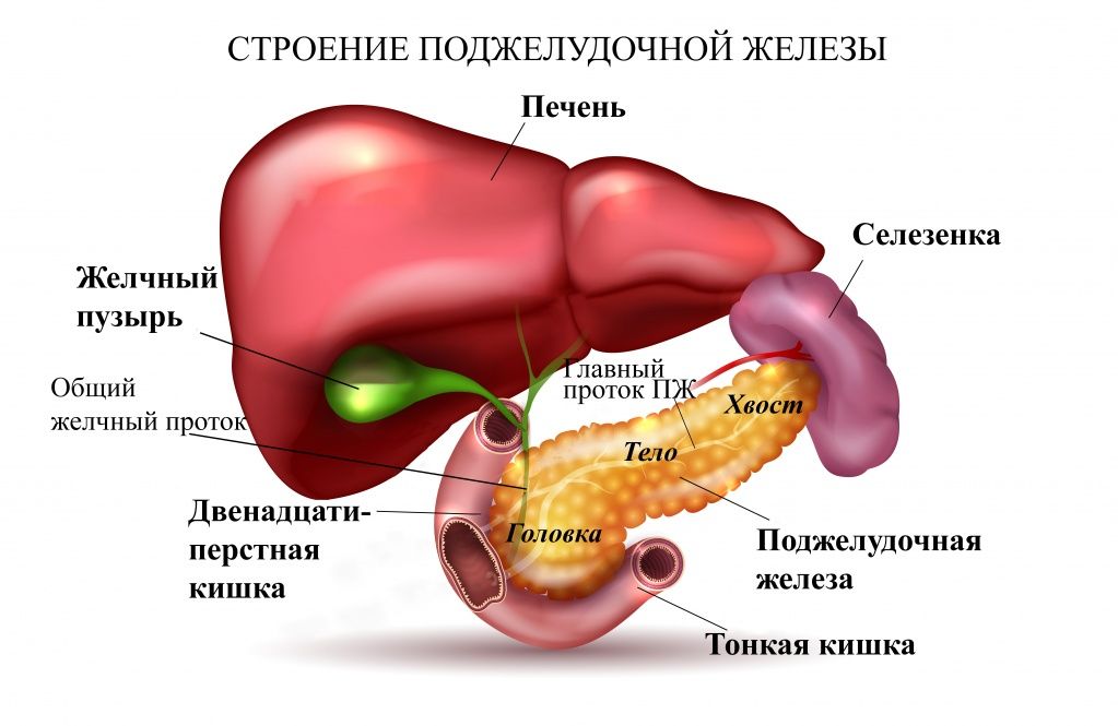 можно ли при поджелудочной персик