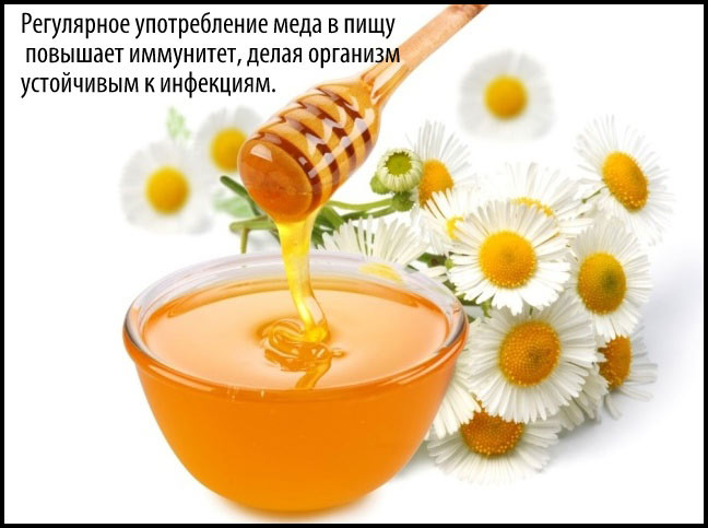 можно ли мед при панкреатите